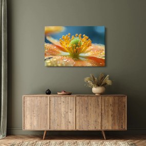 Kép - Részlet a virágból (90x60 cm)