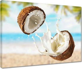 Vászonkép 40x30 Kókusztej Kókusz