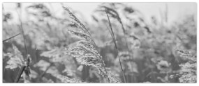 Kép - Fű a szélben (120x50 cm)