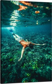 Vászonkép Emberek Búvár az óceánban 50x80 cm