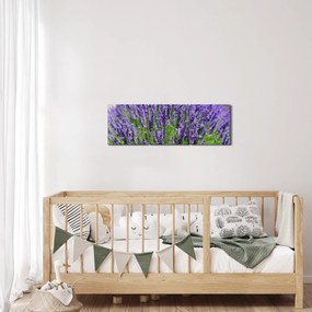 Kép - levandula (órával) (90x30 cm)