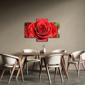 Egy rózsa virág képe (90x60 cm)