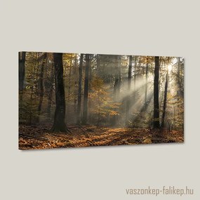 Aranyerdő fényei – prémium vászonkép 40x23 cm