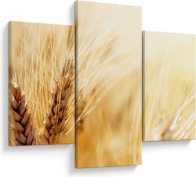 Kép - részlet gabona (90x60 cm)