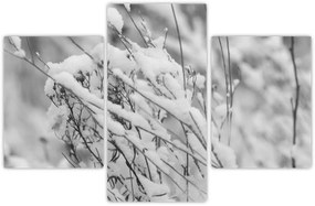 Kép - Havas ágak (90x60 cm)