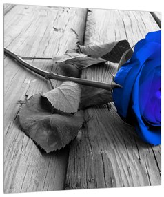 Kék rózsa képe (30x30 cm)
