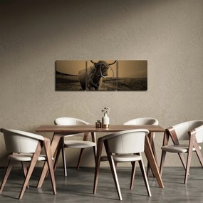 Kép - Skót tehén menekül (órával) (90x30 cm)