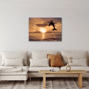 Kép - Delfin naplementében (70x50 cm)