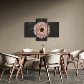 Narancsságra virág képe (90x60 cm)
