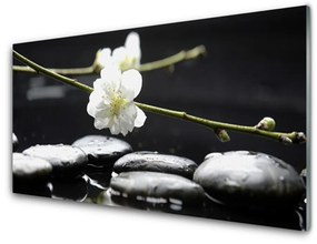 Fali üvegkép Twig Virág szárak 100x50 cm