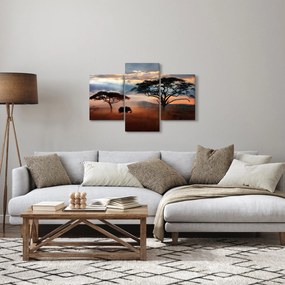 Kép - Serengeti Nemzeti Park, Tanzánia, Afrika (90x60 cm)
