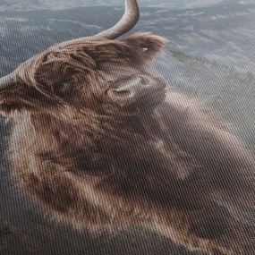 Kép - Highlander tehén (órával) (90x30 cm)