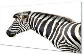 Akrilkép zebra 100x50 cm 2 fogas