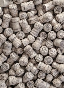 Poszter 20,5x28,4cm Pezsgős dugók, Assaf Frank