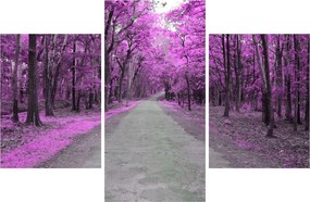 Kép - Út a parkon (90x60 cm)