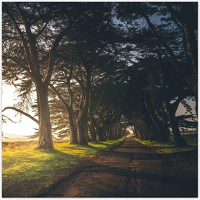 Poszterek 140x140 Tájkép Látvány