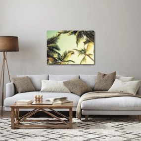 Kép kókuszpálmával (70x50 cm)