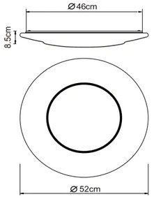 Globo 48311-24 - CANDIDA LED mennyezeti lámpa 24W, 230V
