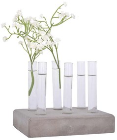 6-os növény gyökereztető üveg váza beton tálcával