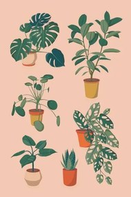 Illusztráció houseplants set, Alina Beketova, (26.7 x 40 cm)