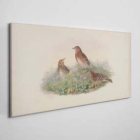 Vászonkép Bézsállatok madarak