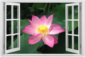 Poszterek 90x60 Lótusz Lótuszvirág