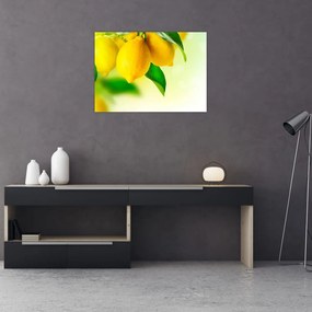 A citrom képe (70x50 cm)