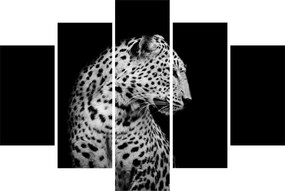 Kép - Leopárd (150x105 cm)
