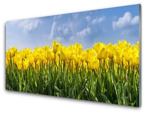 Üvegkép falra Tulipán virágok Plant 100x50 cm