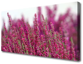 Vászonkép falra Virág Meadow Nature Plant 100x50 cm