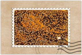 Poszterek 60x40 Ădes mĂ©z szelet