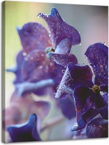 Botanika indigó orchidea vászonkép 30x40 cm