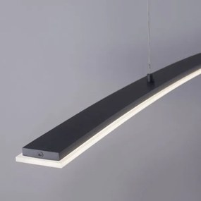 Paul Neuhaus 2530-13 - LED Dimmelhető csillár zsinóron JANINA LED/27W/230V