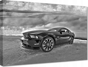 Vászonkép 30x20 Ford Mustang a hóban Autó Klasszikus Made in Usa