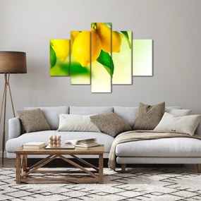 A citrom képe (150x105 cm)