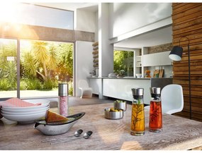 Alinjo fűszertartó szett, 150 ml - Blomus