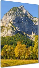 Vászonkép 80x120 Hegyi táj tiszta égbolttal Fák a hegyekben