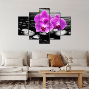Kép - Lila orchideák (150x105 cm)