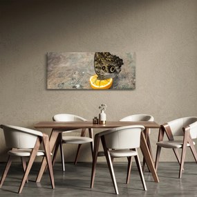 Pillangó képe (120x50 cm)