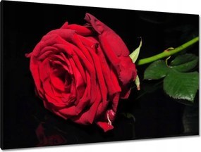 Festmények 120x80 Nőnap Ajándék Love