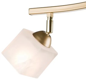 spotlámpa KLARA 2xE14/40W/230V arany