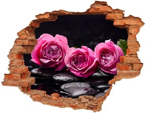 Fali matrica lyuk a falban Rózsaszín rózsa nd-c-77048055