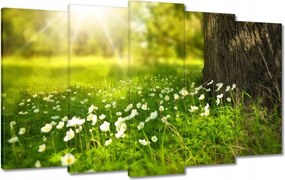 Festmények 100x60 Sugárzás a réten