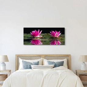 A tavirózsa képe a vízen (120x50 cm)