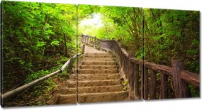 Vászonkép 120x60 Lépcsők az erdőbe