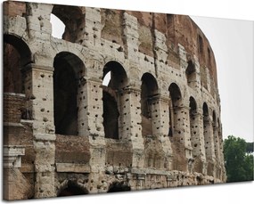 Vászonkép Építészet Colosseum Róma 120x80 Olaszország Ókor Madár