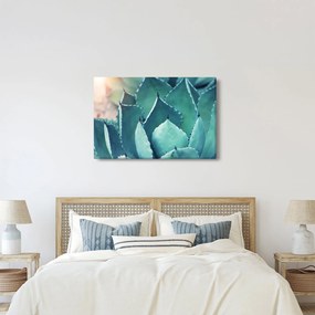 Kép - Szukulent (90x60 cm)