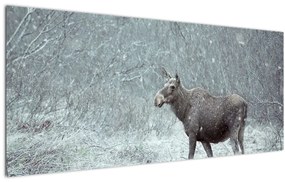 Kép - jávorszarvas egy hóval borított erdőben (120x50 cm)