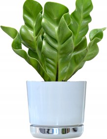 16 Virágcserép Duo kétszínű Fehér tükör állvánnyal Jégvarázs fényes