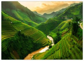 Kép - Mu Cang Chai rizsteraszok (70x50 cm)